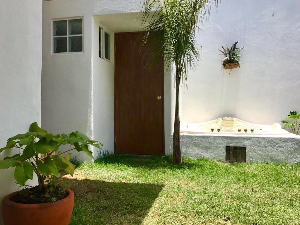Hoja Santa Hostal Boutique Cholula Esterno foto
