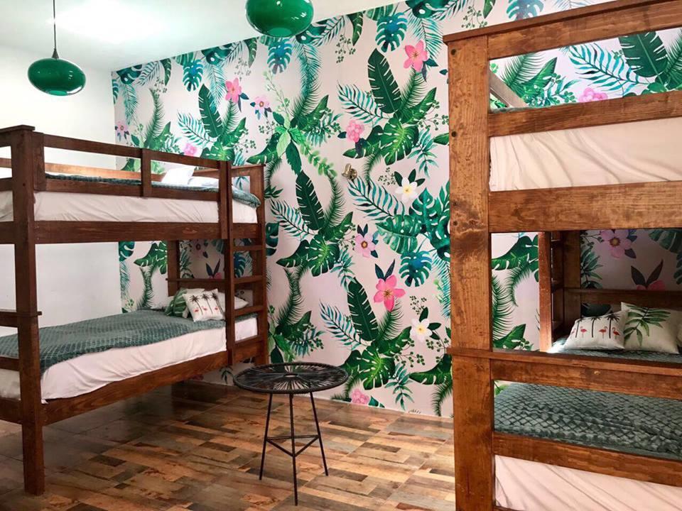 Hoja Santa Hostal Boutique Cholula Esterno foto