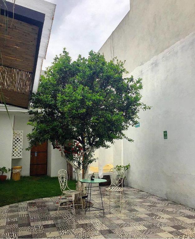 Hoja Santa Hostal Boutique Cholula Esterno foto